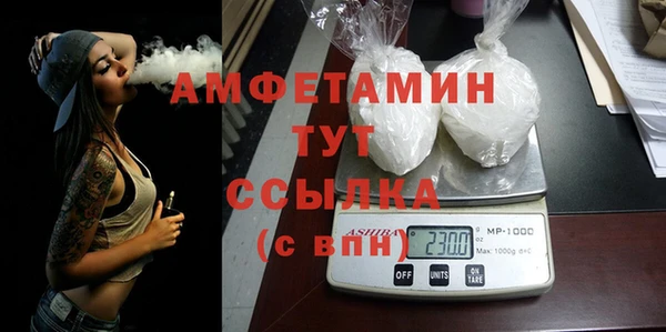 шишки Арсеньев