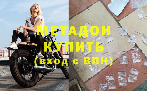 шишки Арсеньев