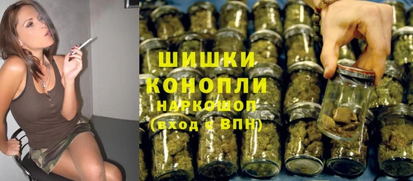 шишки Арсеньев