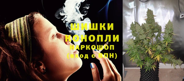шишки Арсеньев
